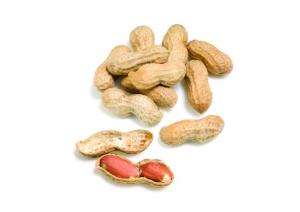 Is your business prepared for an allergy epidemic?